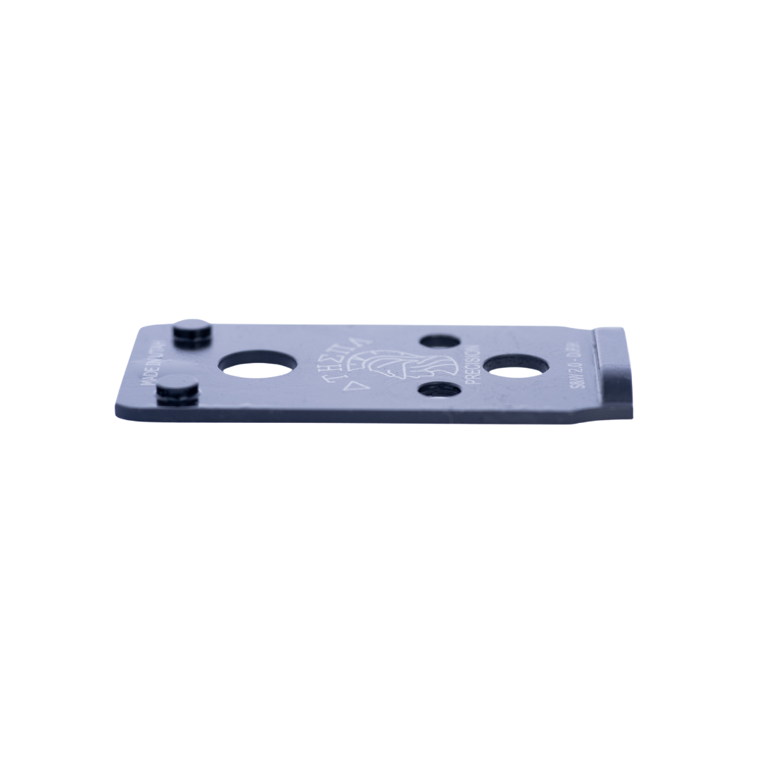 S&W 2.0 to Delta Point Pro